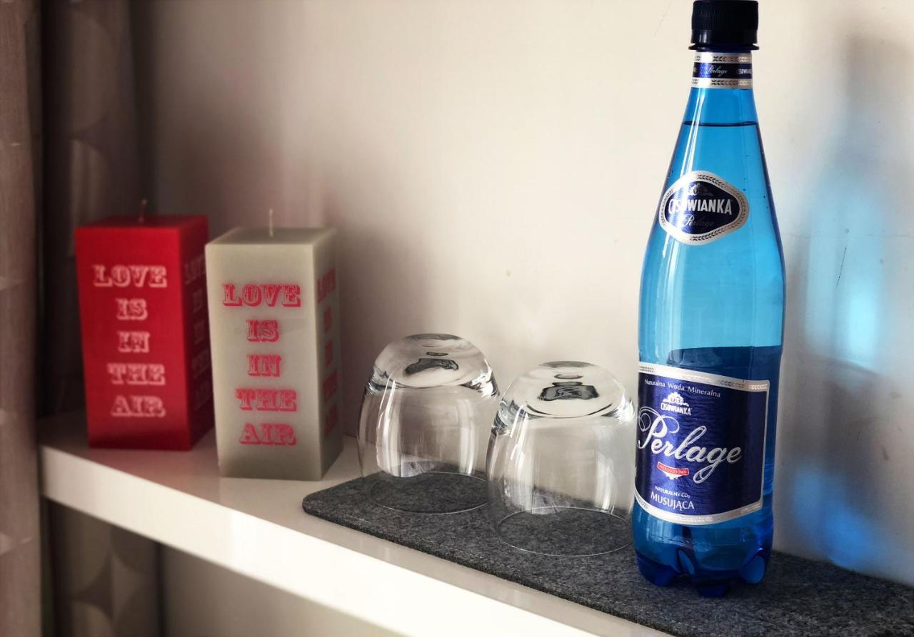 Rezydencja Pod Ochorowiczowka B&B ヴィスワ エクステリア 写真